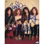 Led Zeppelin レッド・ツェッペリン 直筆サイン入り写真認証COA付